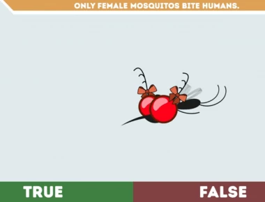 Αλήθεια ή ψέμματα; Μόνο το 5% γνωρίζει την απάντηση (βίντεο)